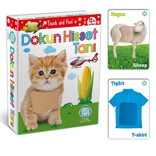 Circle Toys Dokun Hisset Tanı Kartları 